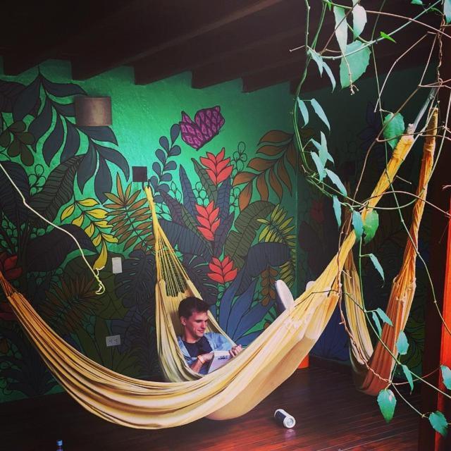 Casa Kiwi Hostel Medellín Extérieur photo