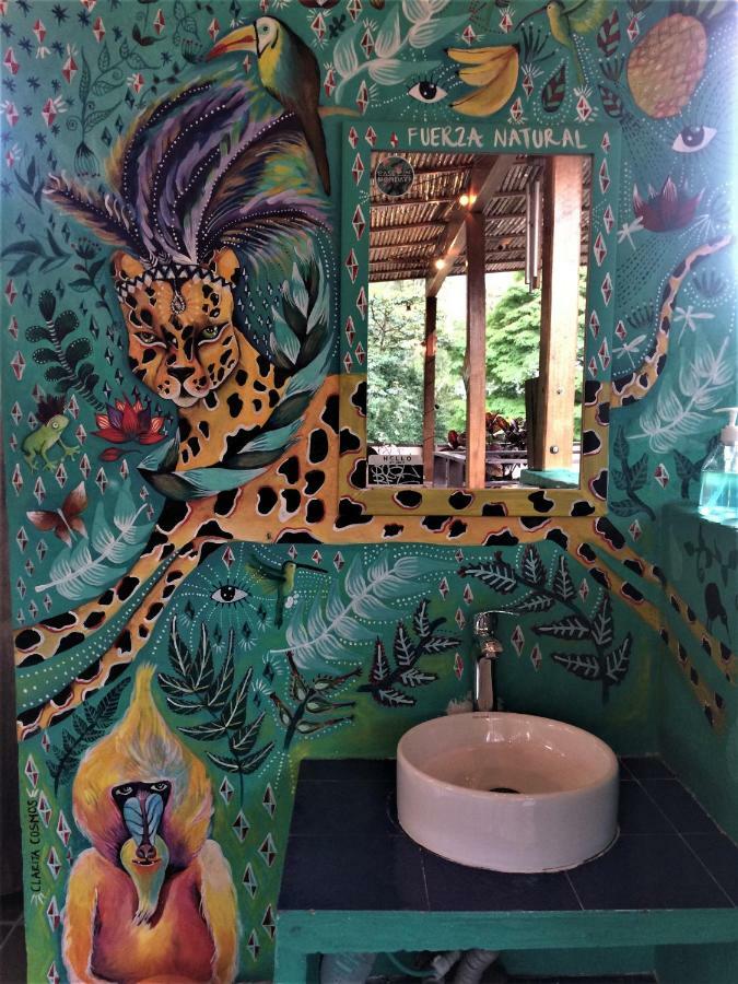 Casa Kiwi Hostel Medellín Extérieur photo